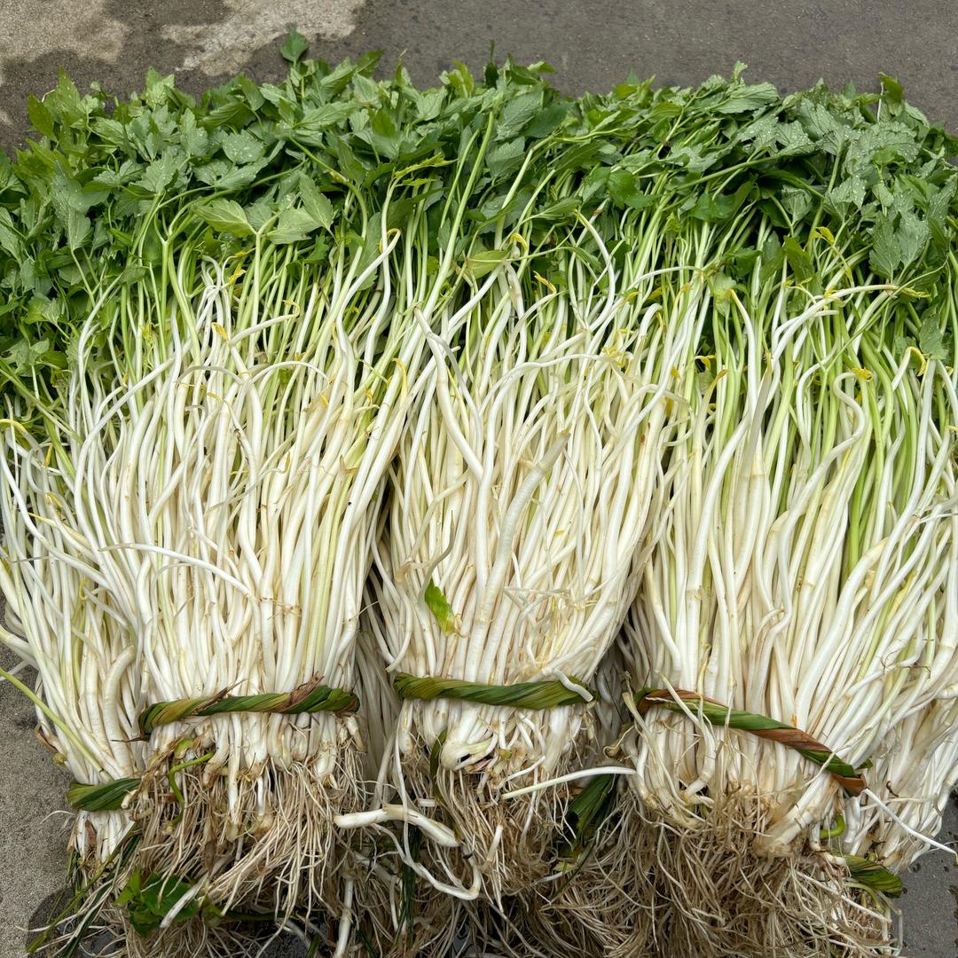 安庆石牌阿丰蔬菜