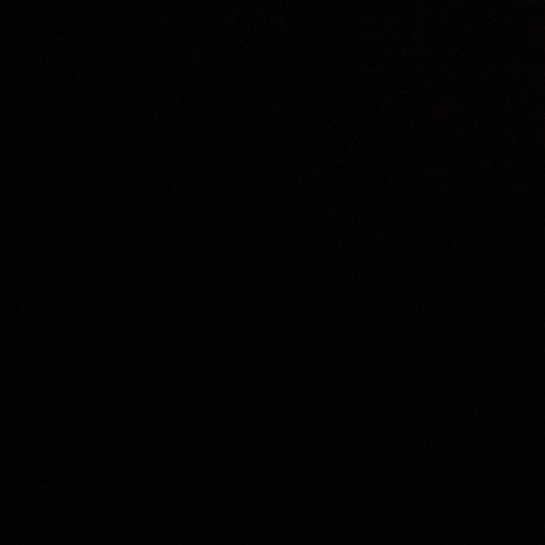 画画的陈聋子