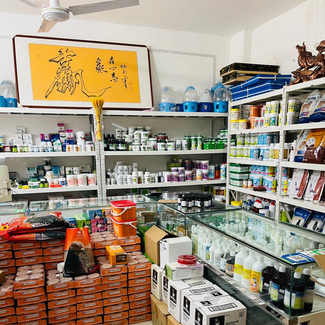 赛鸽 鹦鹉用品保健