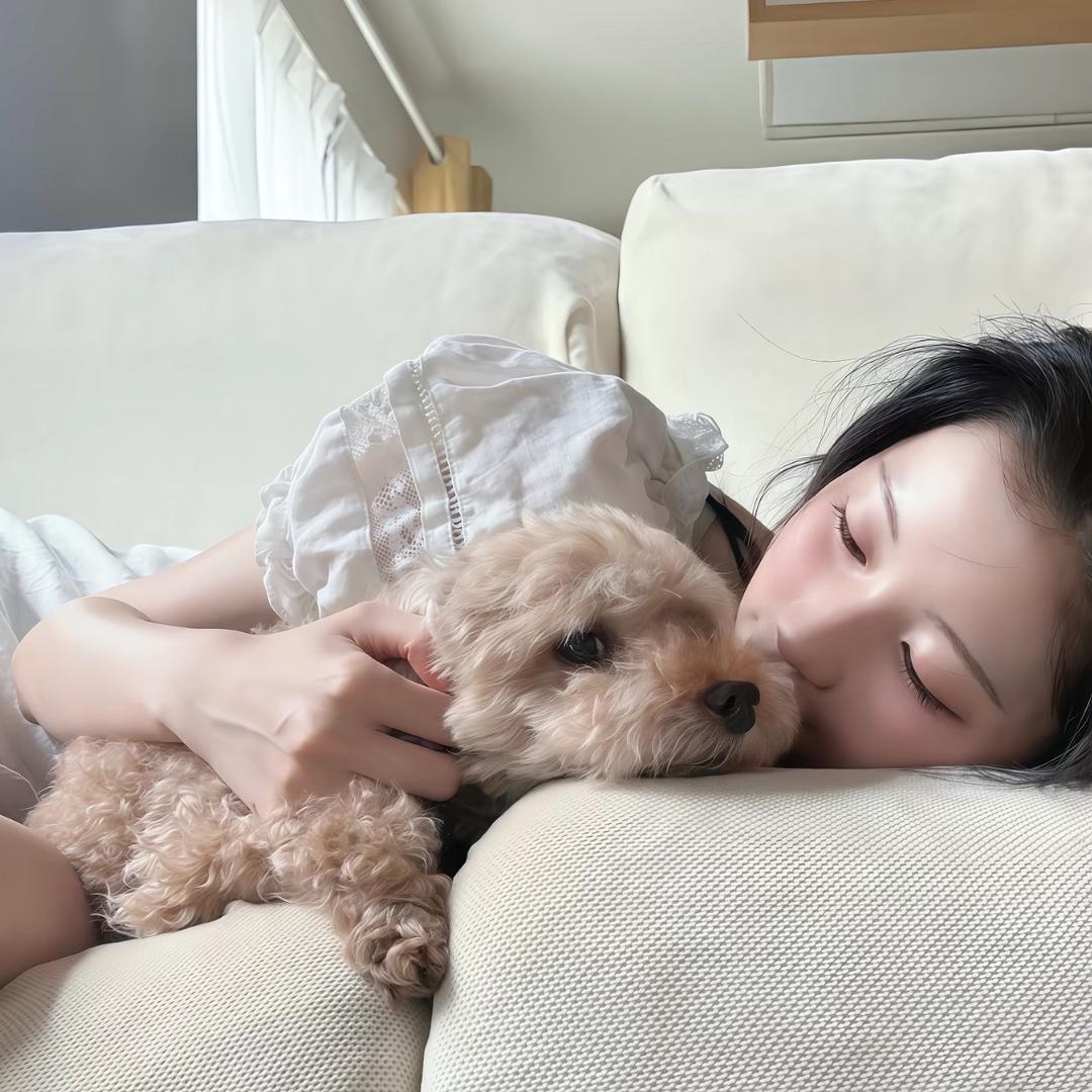 菲菲鱼