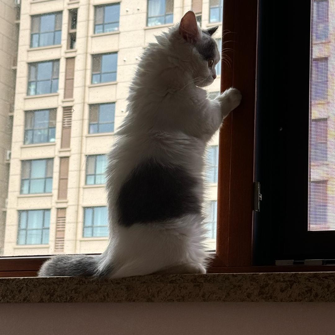 👑婷婷👑