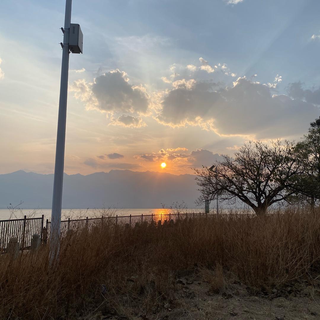 我也想 年少有为