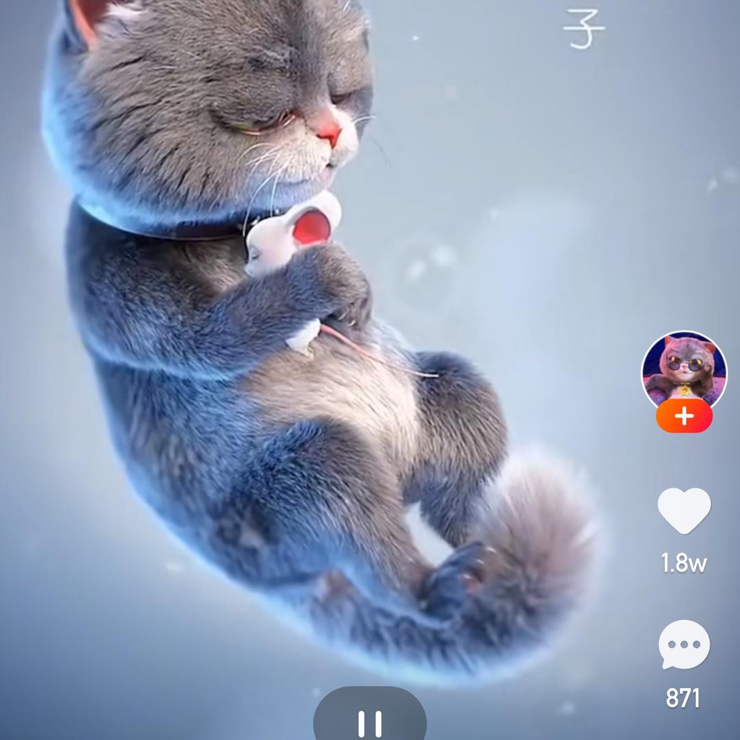 熊猫