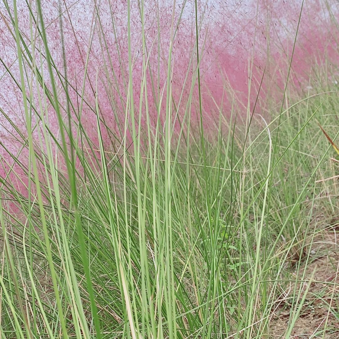 随缘而来