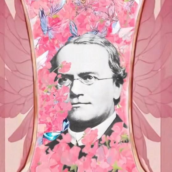 孟德尔（豌豆精灵王）