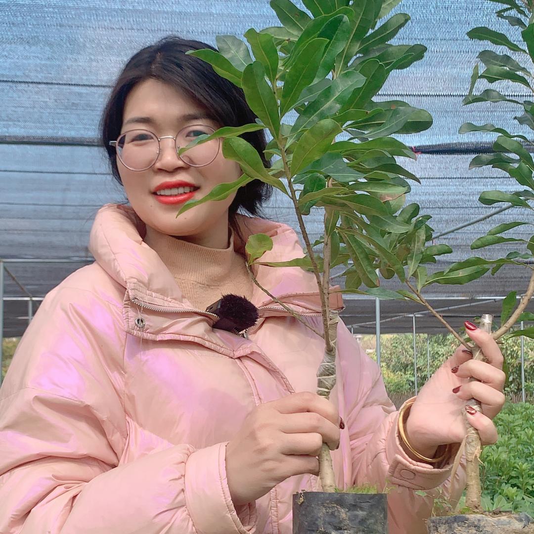 卉双儒地果树苗木专卖店