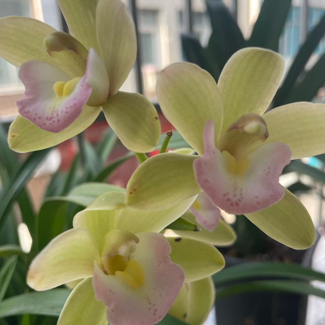 不发脾气只发财💰