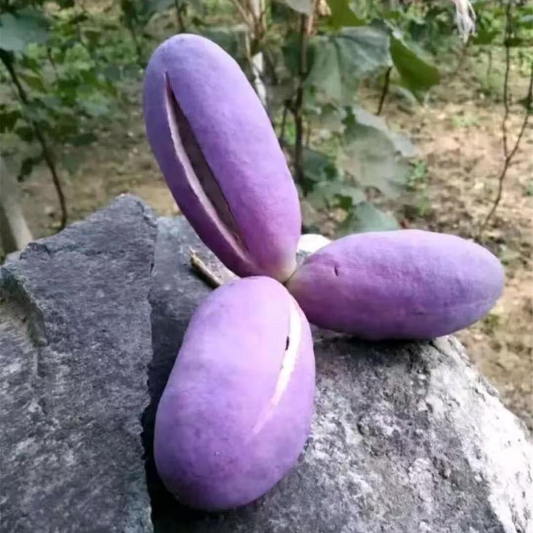 闽优生鲜