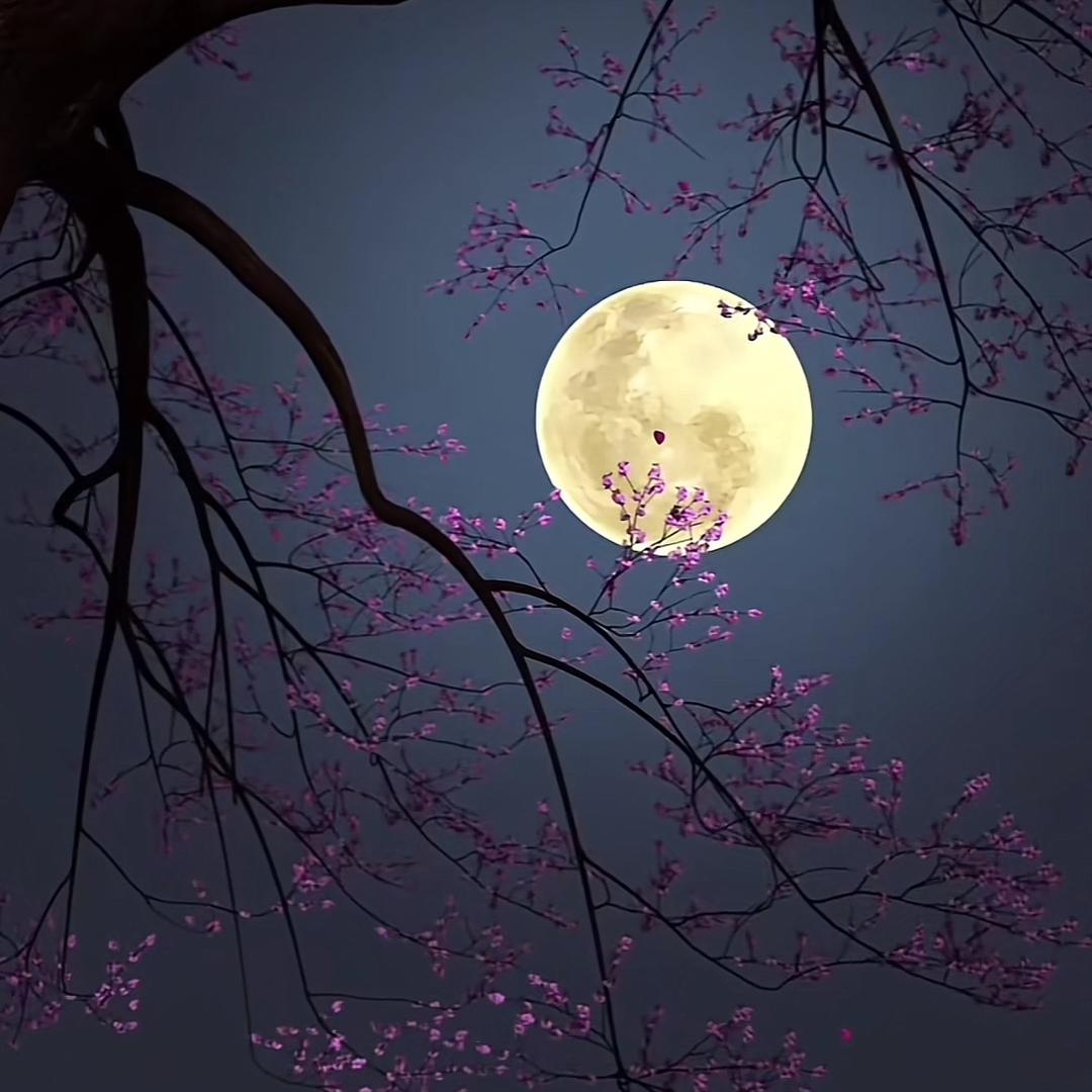 天晴。
