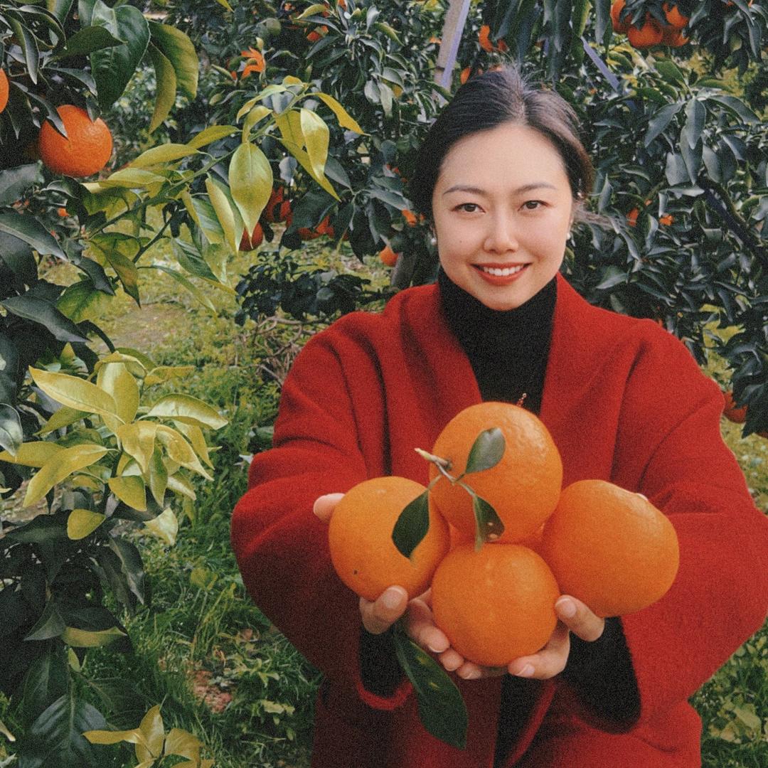 玉珠珠
