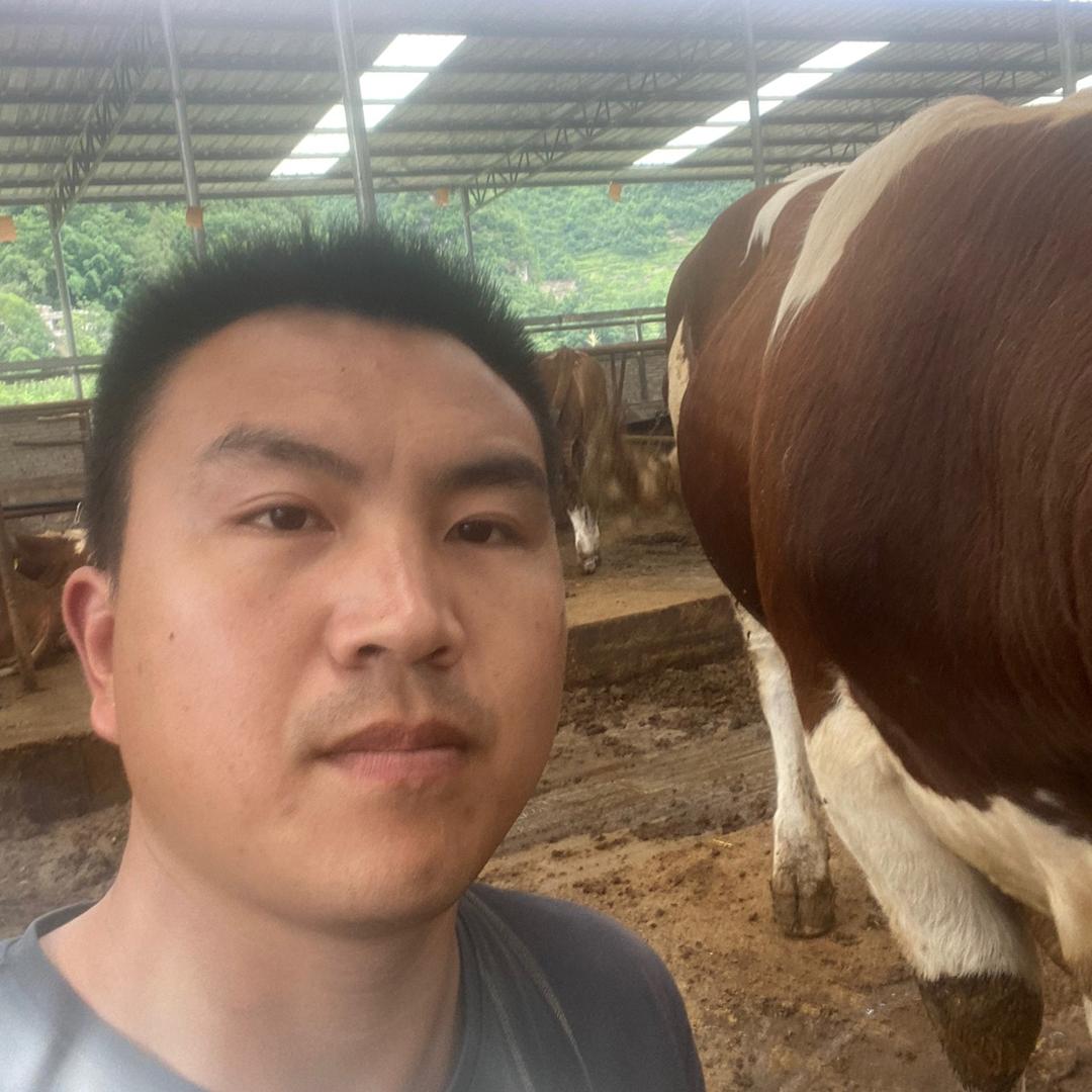 牛人老陈