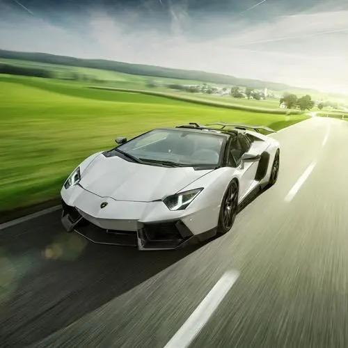 潮汐守望者琴史煌