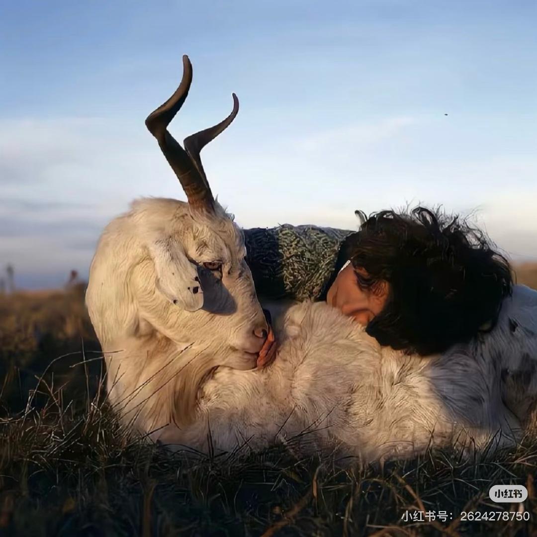 tenderness.