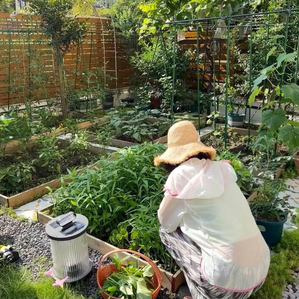 阿丰的田园生活