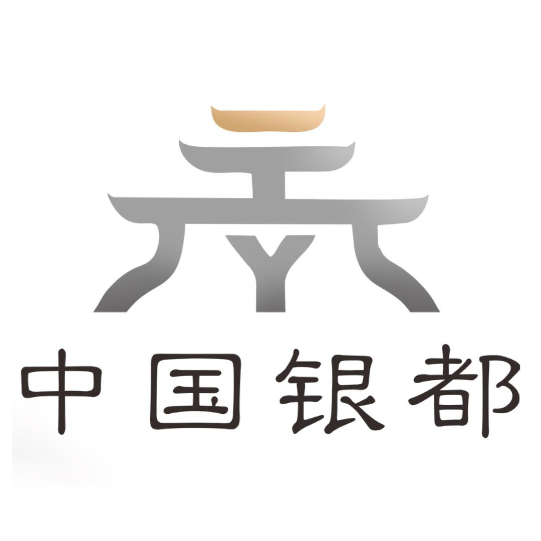 中国银都-唐尧栋