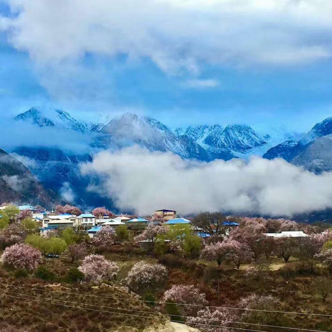 悠悠