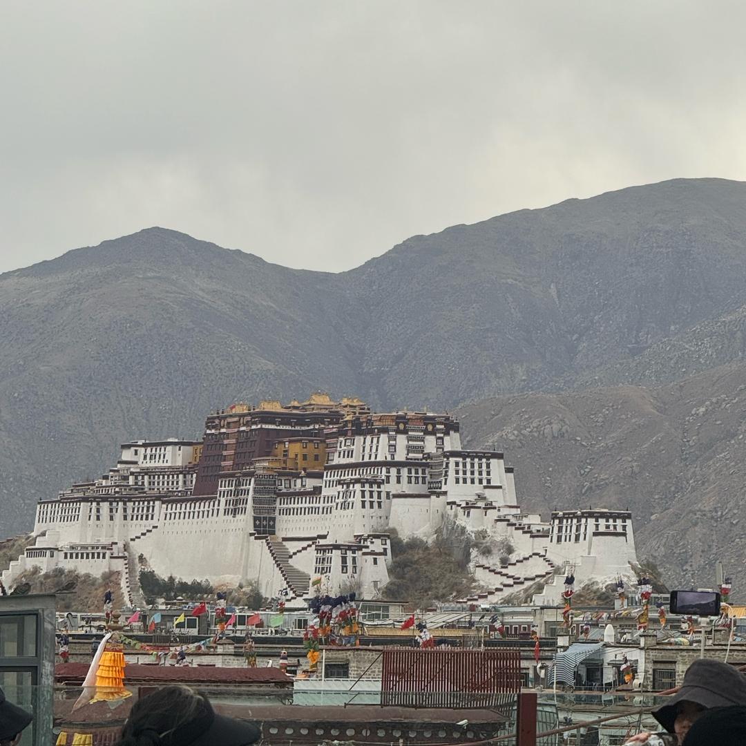 传承藏珠小马铺子