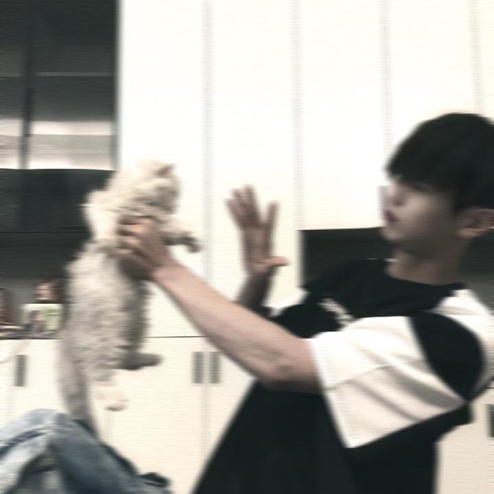 刀刃_💭