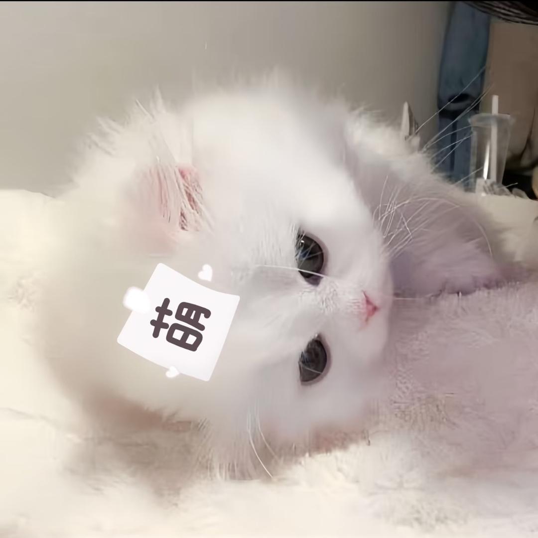 艺宝