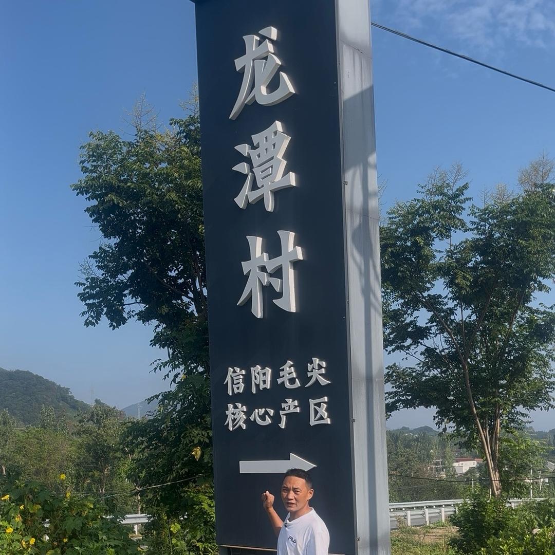 白龙潭胜超茗茶