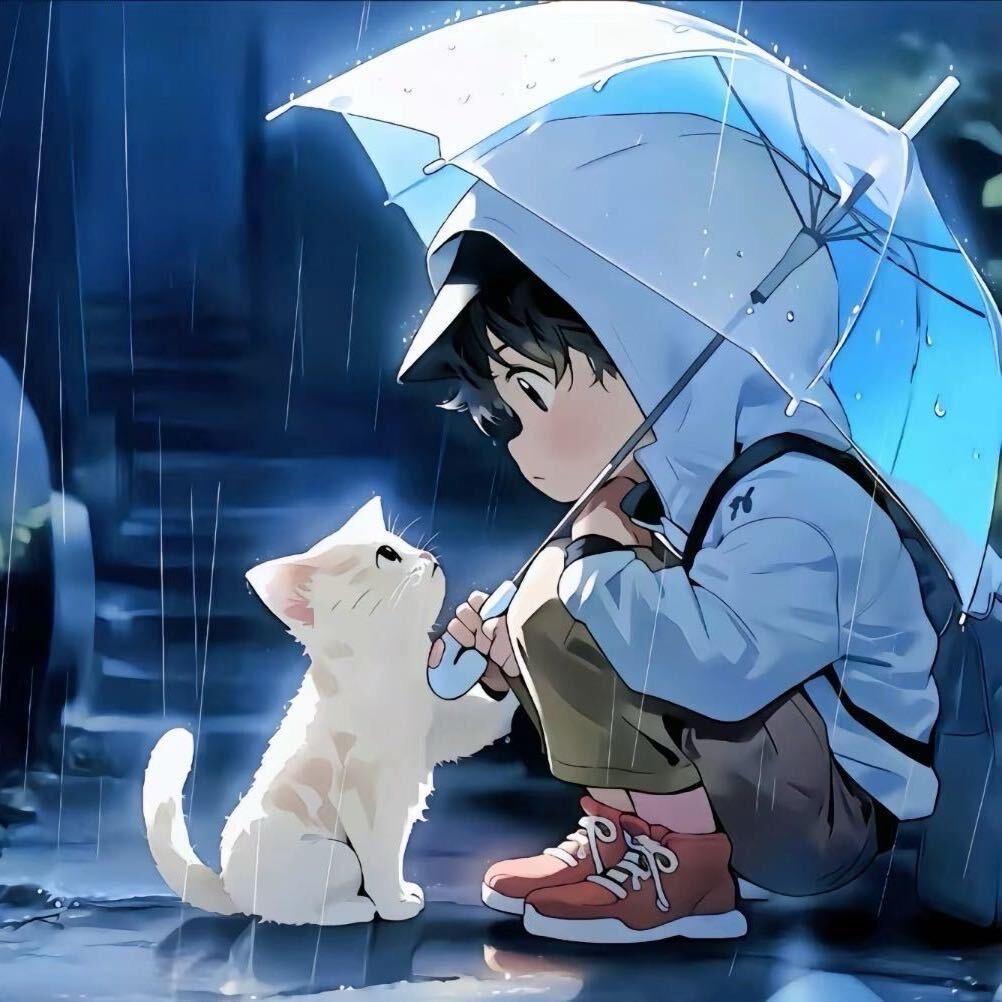 小梦速递🌙