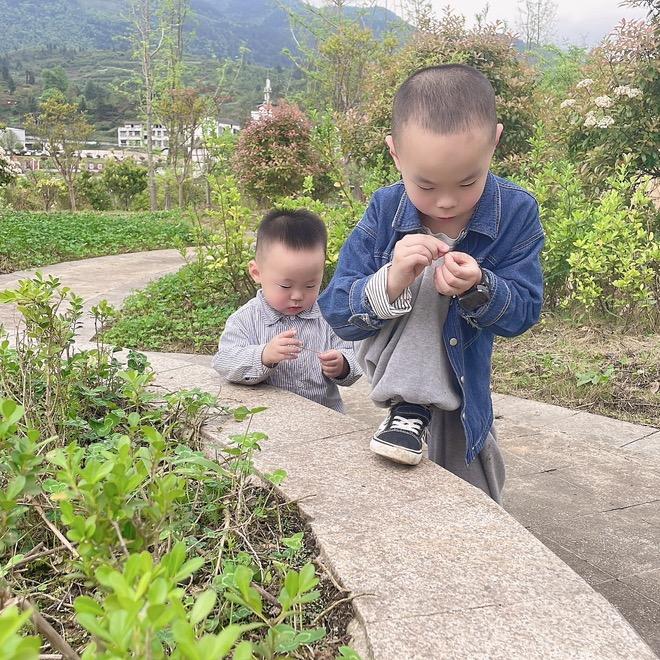 AA