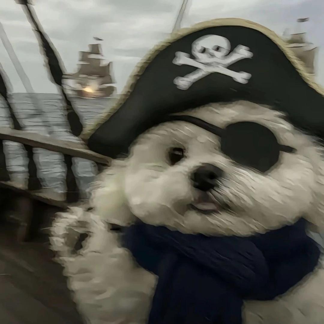 泥嚎.我是海盗🏴‍☠️