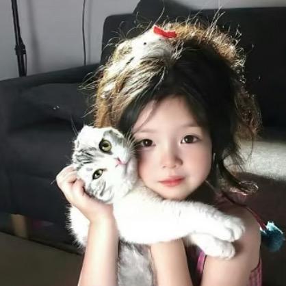 蛋黄派来的