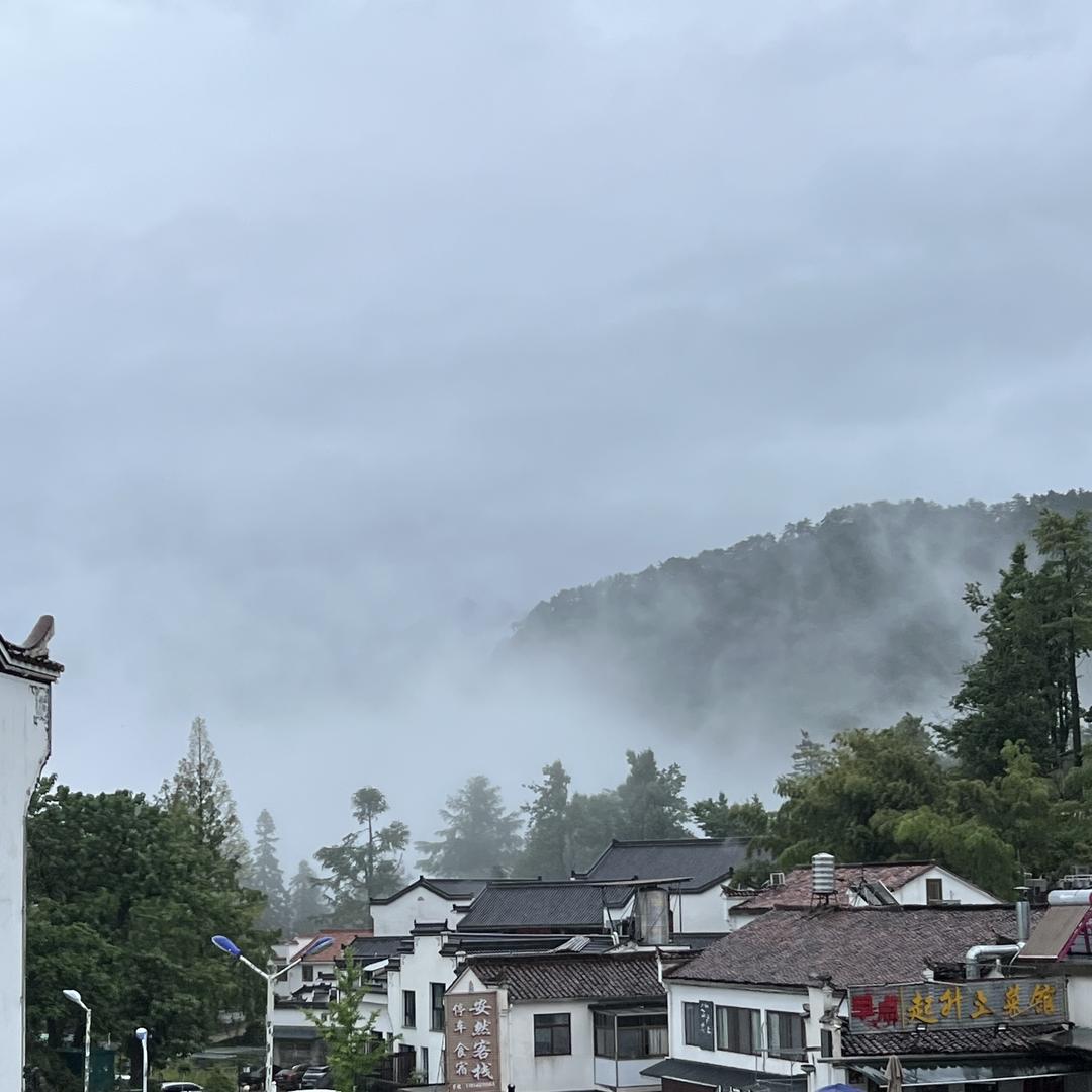 茂美农业