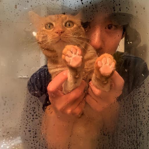 你又这样