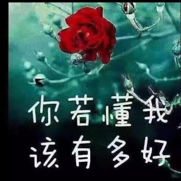 林姐姐美泰