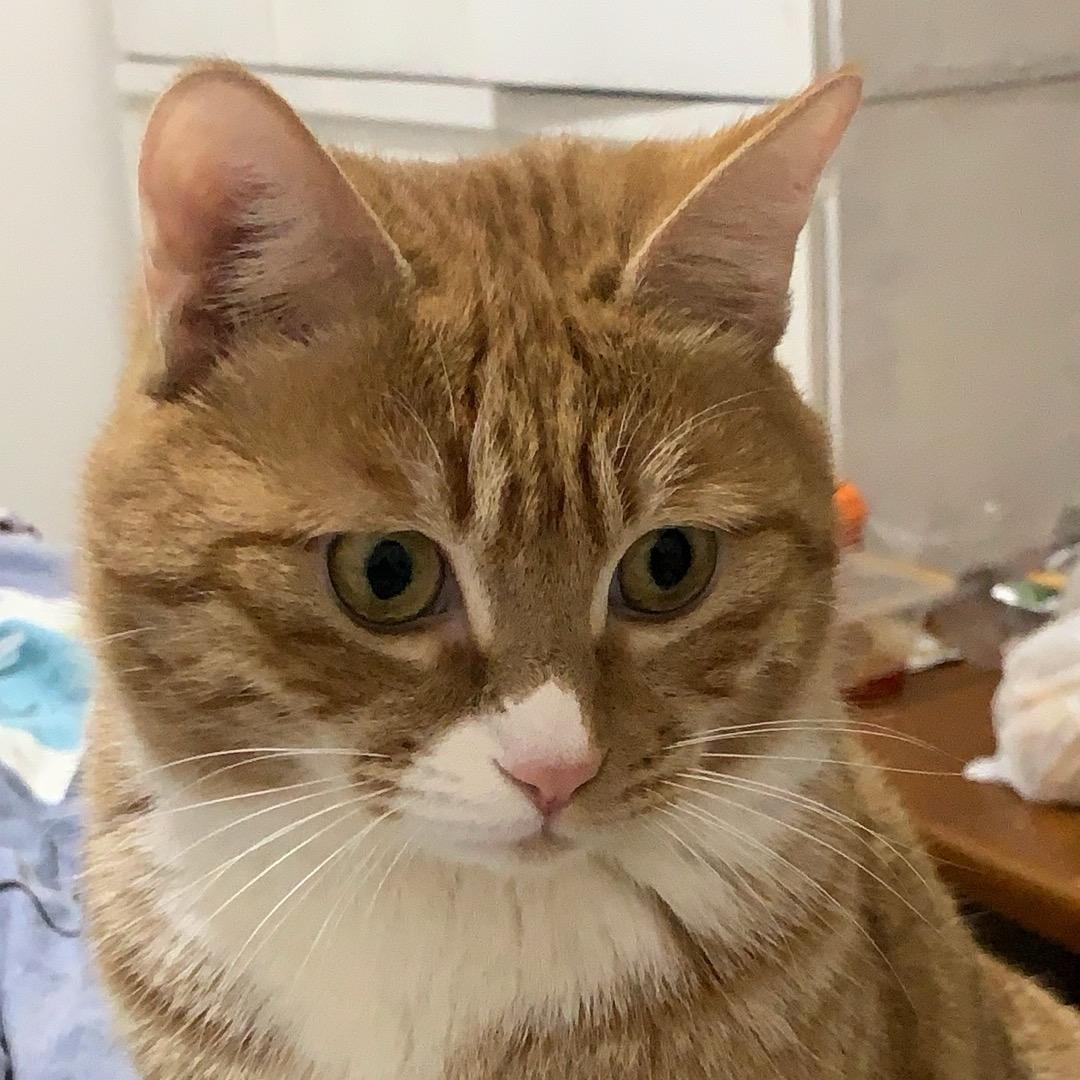 开﹌心(づ ●─● )づ哥