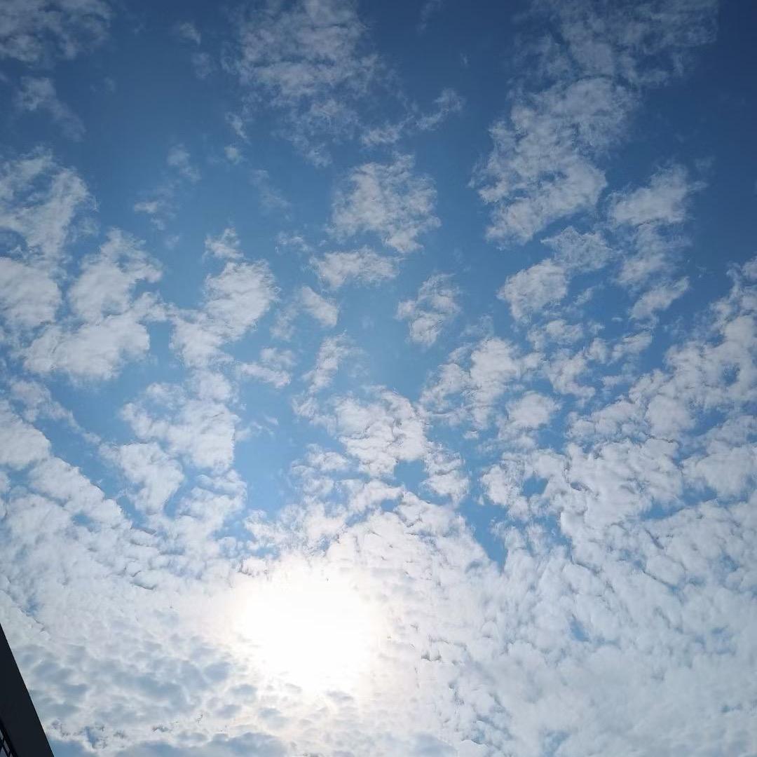 香香甜甜