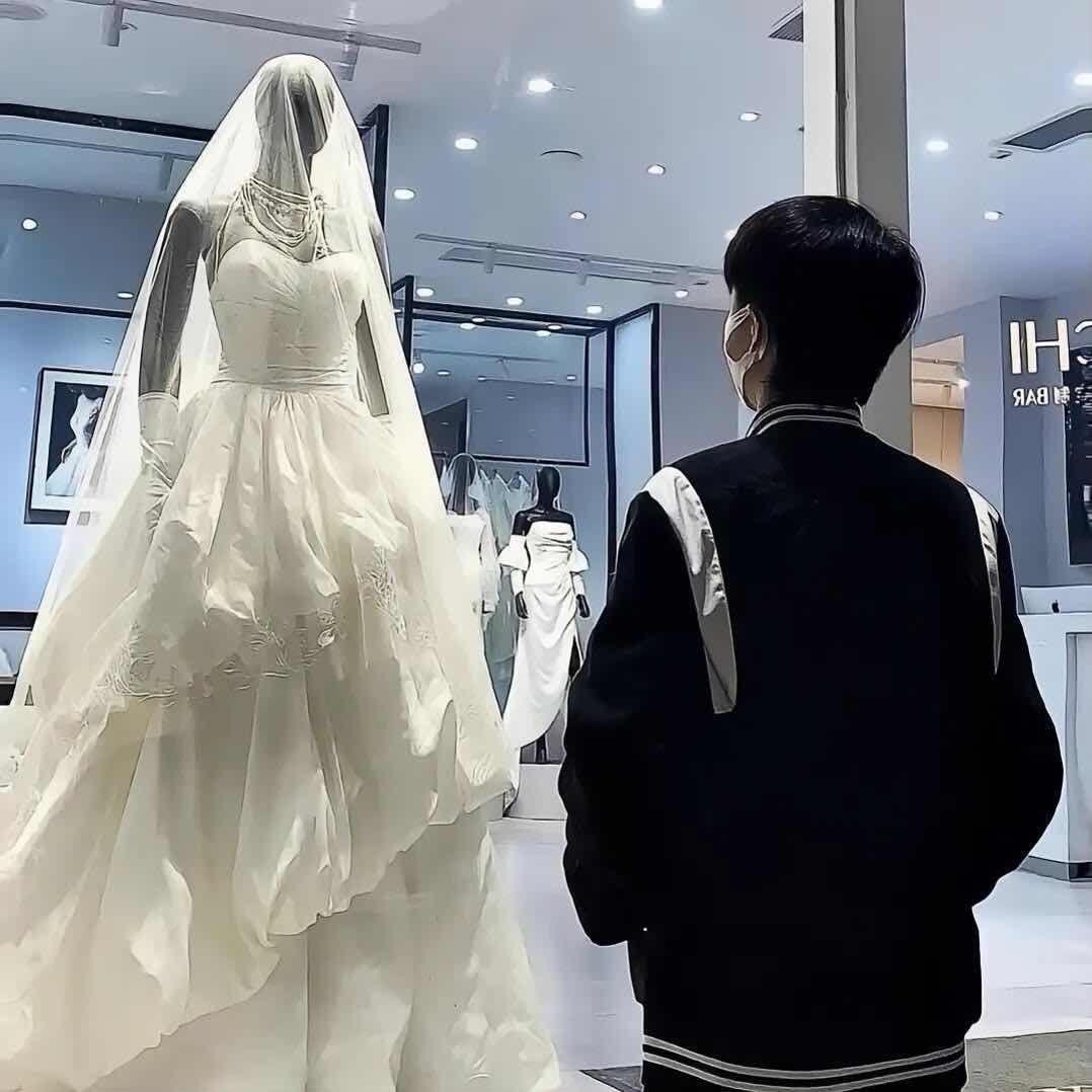 小金宝宝