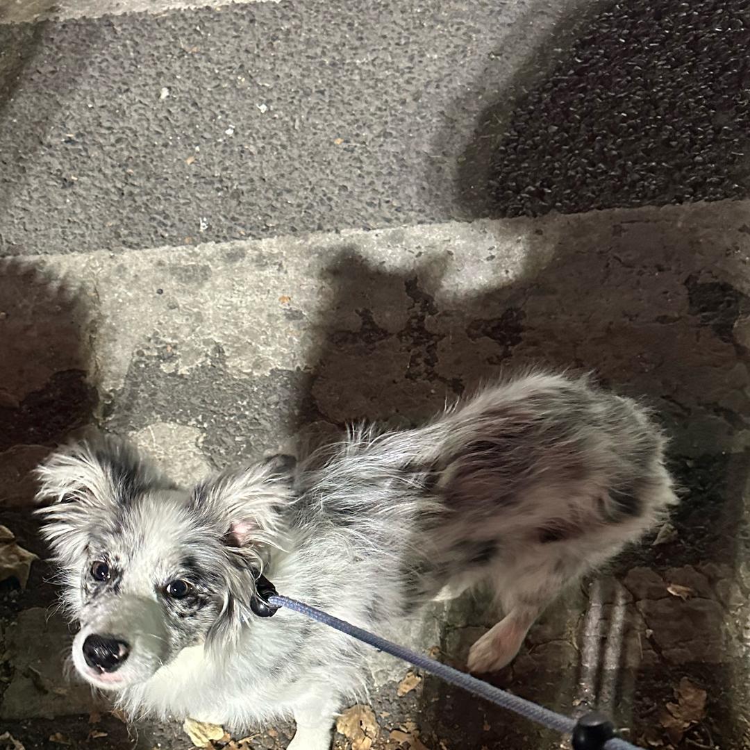 王富贵