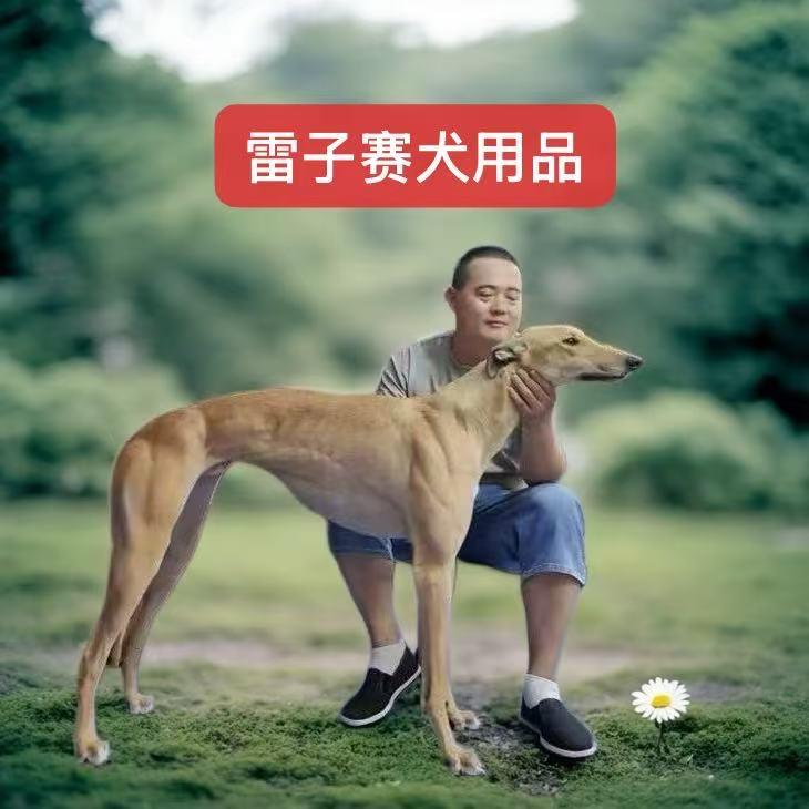 （残缺贝尔）犬主雷子！