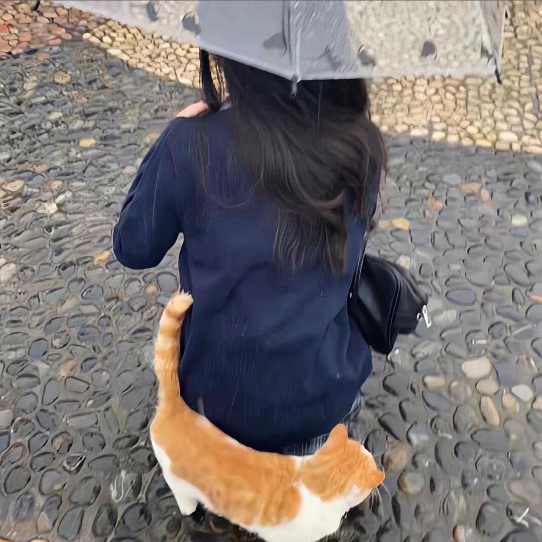 小熊好香