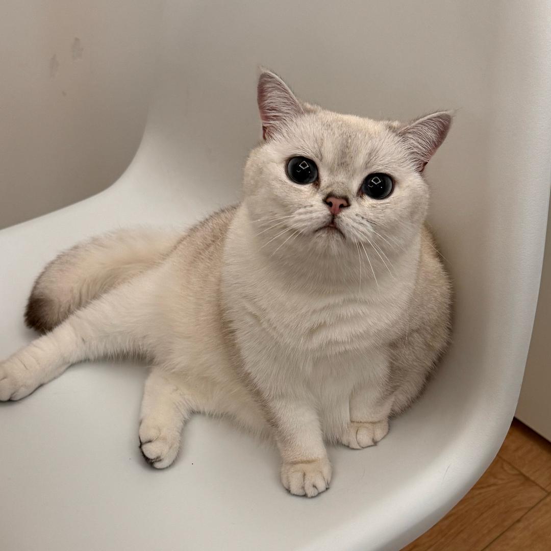 牛波一点的名字