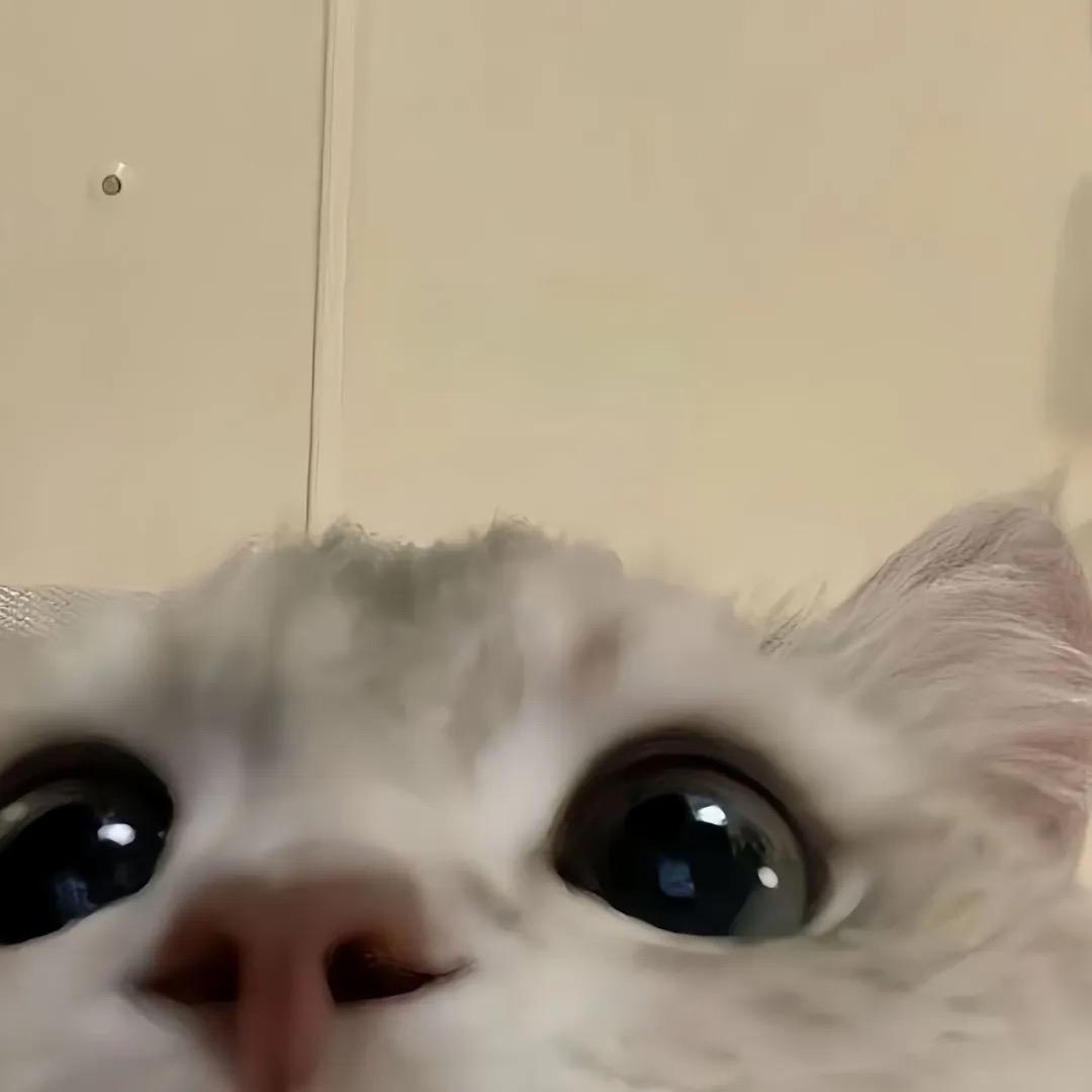 聿