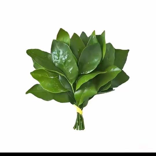 芥末爱吃薯片吖🦞