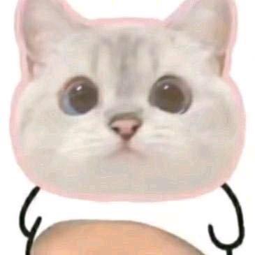 电竞蜂 雄飞店 能力越小责任越小🙄