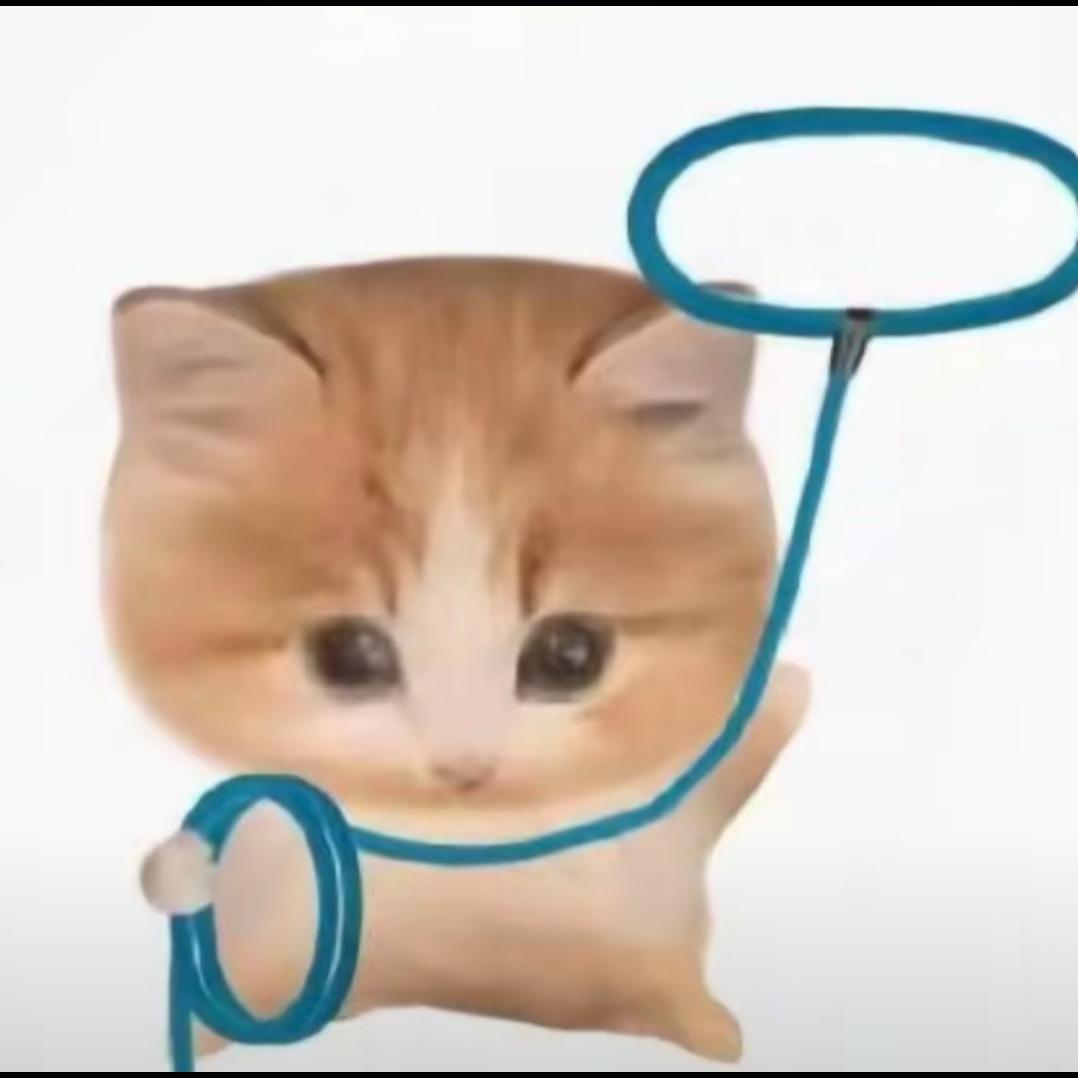 在下猫猫雨