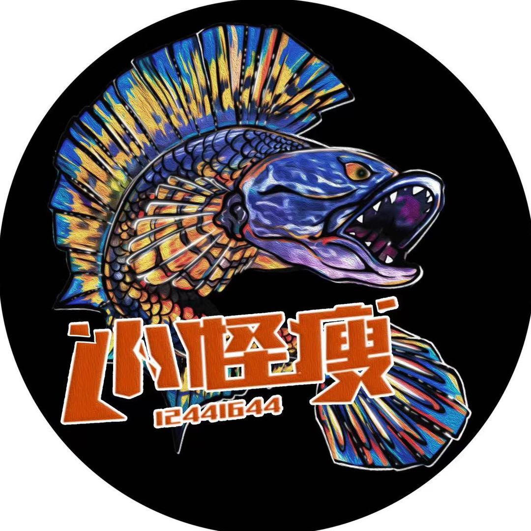 小怪瘦-雷龙鱼🐟