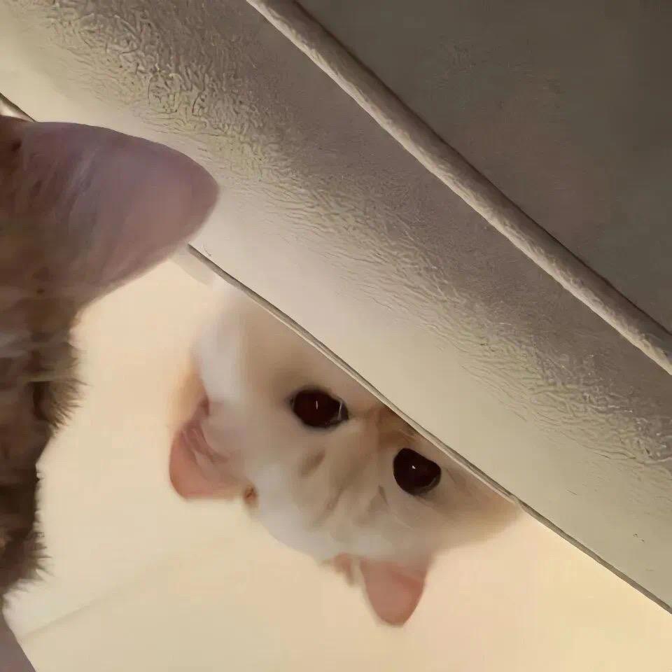 NAR🧩