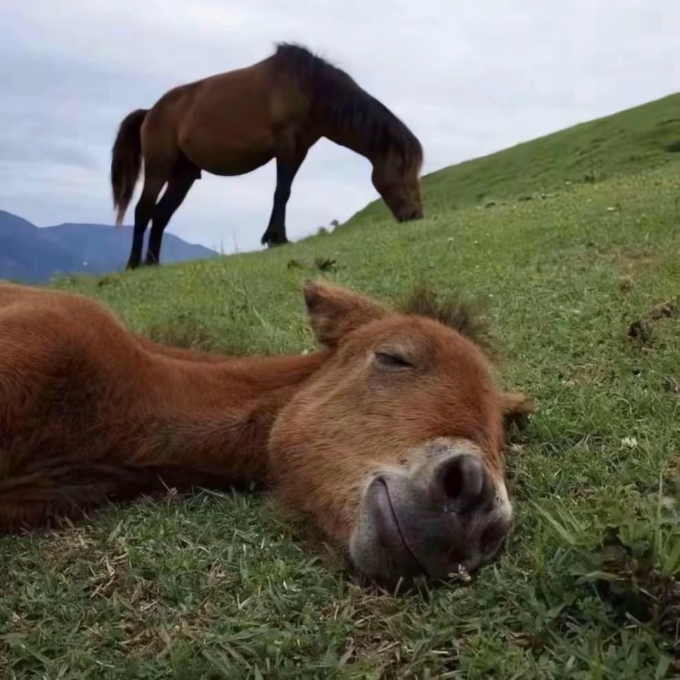 美好明天