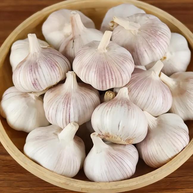 小乔说农业