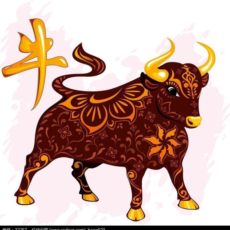 江庄牛肉🐮