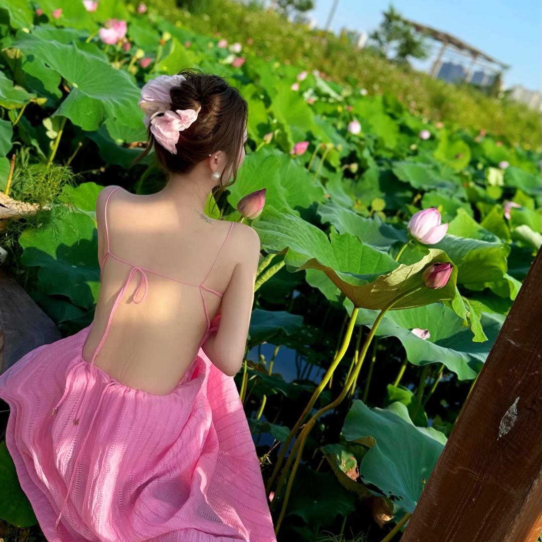 鲸禧集合菜马洋洋