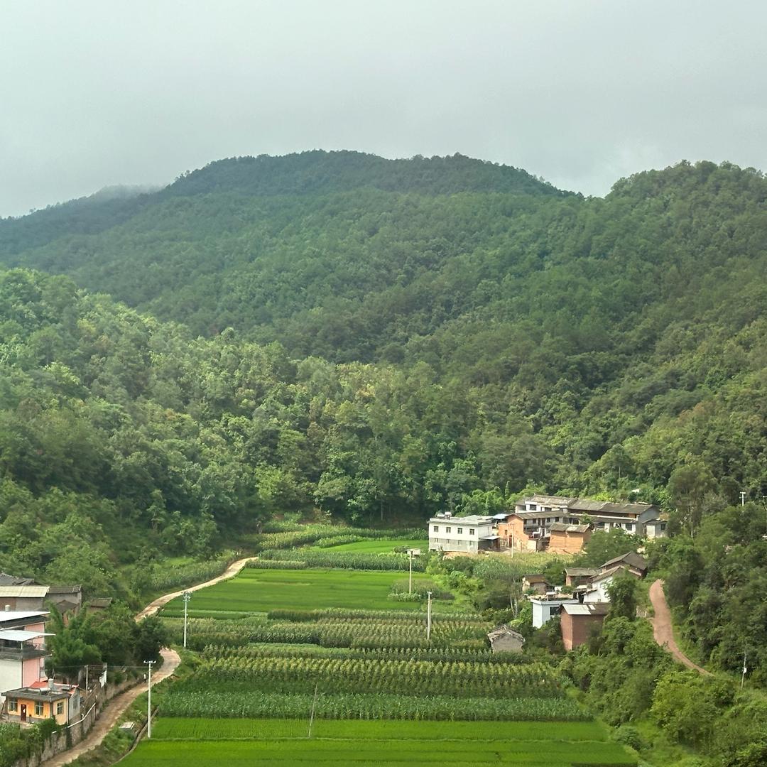 粮食贸易烘干存储