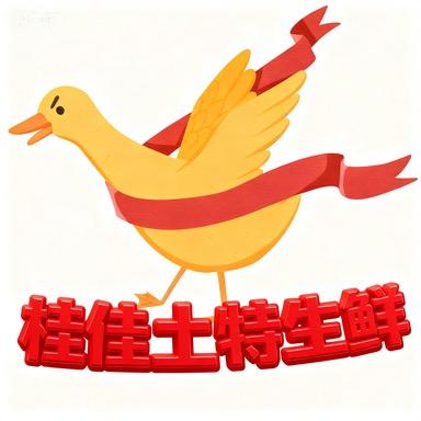 广西桂佳农村土特产店